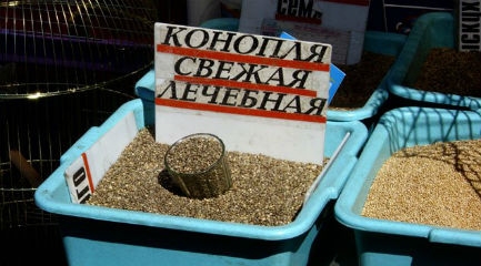 Семена конопли на птичьем рынке продают в качестве корма для птиц