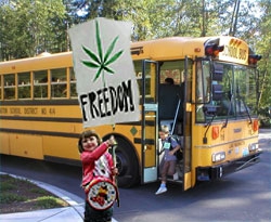 3 унции марихуаны нашли у учеников в школьном автобусе