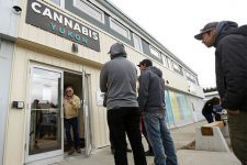 Легализация не увеличила количество курильщиков марихуаны в Канаде