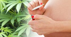 Как курение марихуаны при беременности влияет на развитие плода?